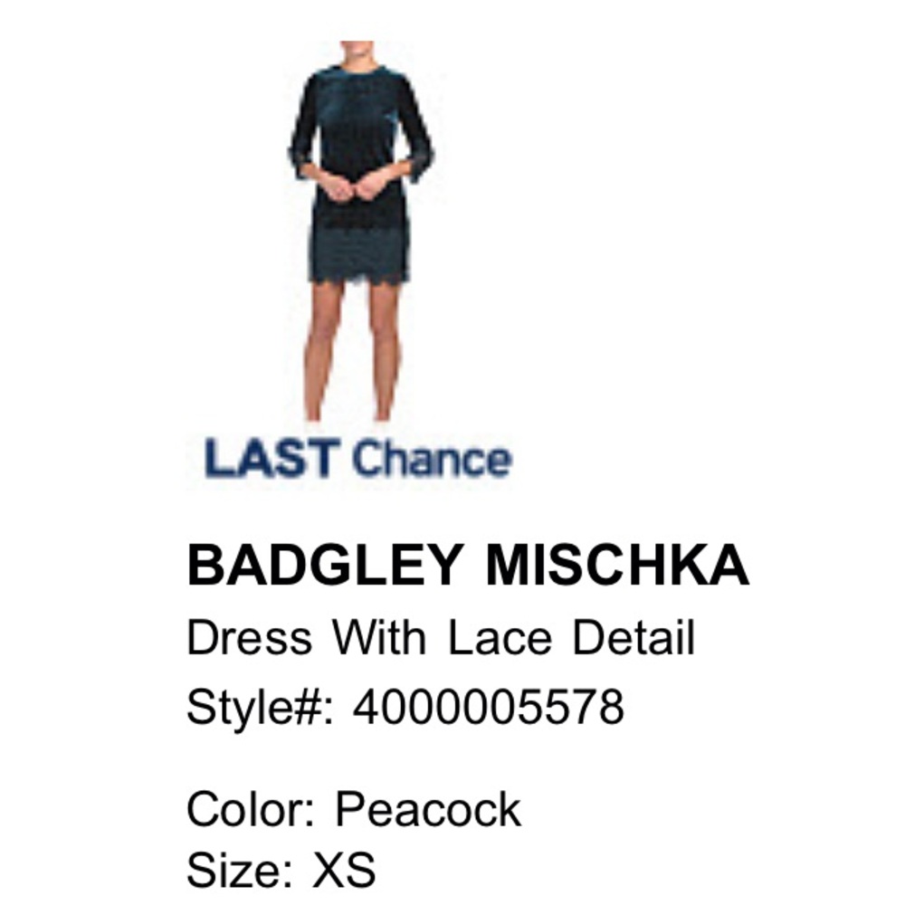 Badgley Mischka Teal Lace Long Sleeve Dress